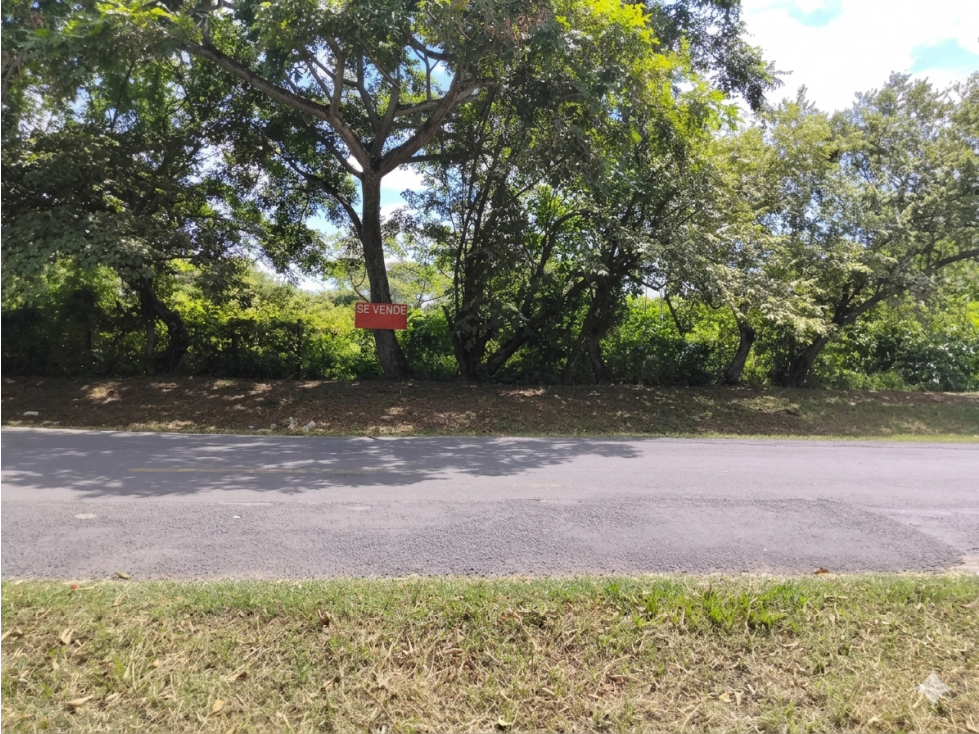 COCLE / CHURUBE / 2 HECTAREAS / TERRENO AMPLIO / SOBRE VIA ASFALTADA - 1