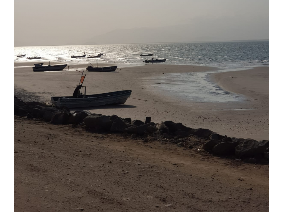 PUNTA CHAME / 1100 M2 / TERRENO / ZONAS VERDES / FRENTE AL MAR - 1