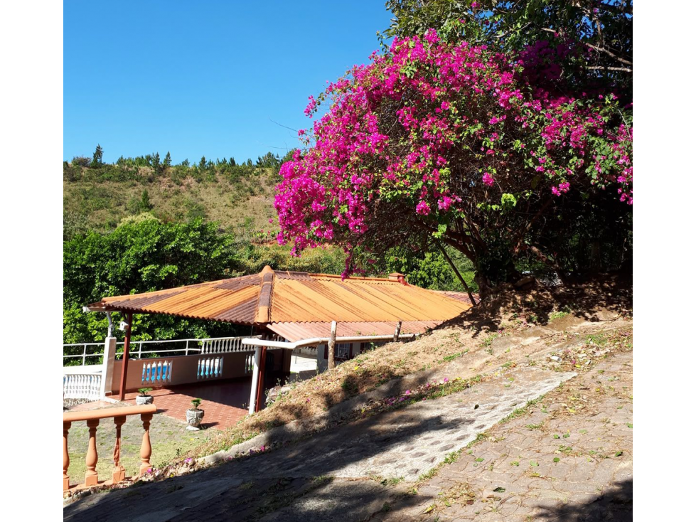 SE ALQUILA HERMOSA CASA 240 M2 EN SAN CARLOS VIA A LA LAGUNA AMOBLADA - 1