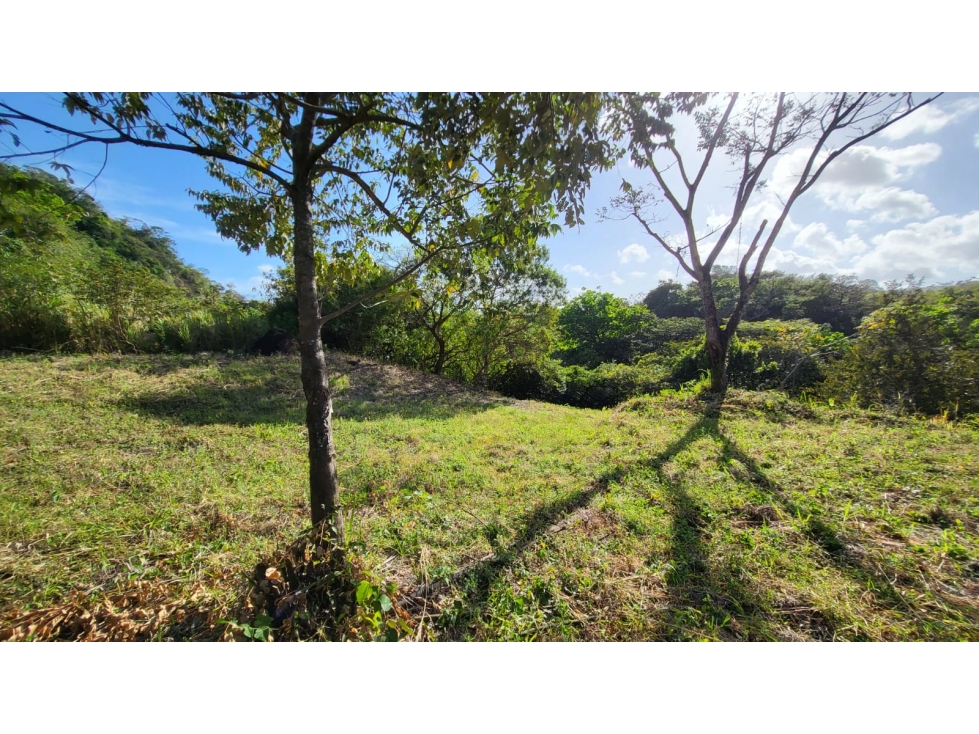 SAN CARLOS / VIA A LA LAGUNA / 4754 M2 / ZONAS VERDES / 2 LOTES - 1