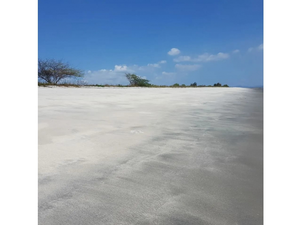 PUNTA CHAME / 9,381 M2 / TERRENO / FRENTE AL MAR / VISTAS A LA PLAYA