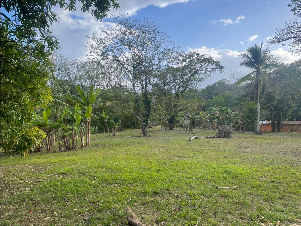 SE VENDE TERRENO PLANO EN CHILIBRE DE 5200M SOBRE CALLE — foto 3
