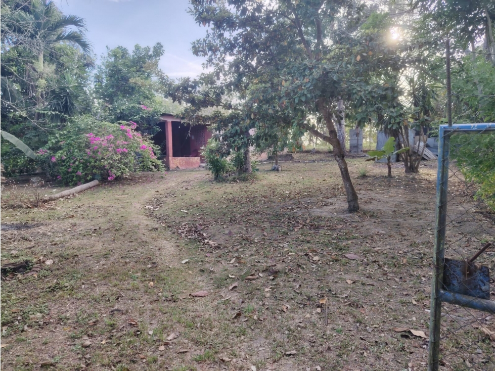 COCLE / RIO HATO /1021M / TOTALMENTE PLANO / IDEAL PARA INVERSION - 3