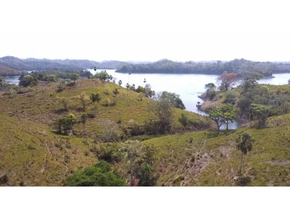 SE VENDE TERRENO CHEPO BAYANO 6 HECTAREAS SUPERFICIE PLANA INVERSIÓN - 4