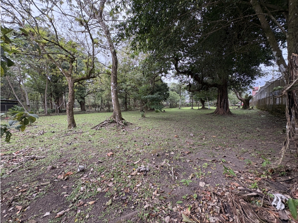 SE VENDE TERRENO PLANO DE 2086M EN EL VALLE DE ANTON - 5
