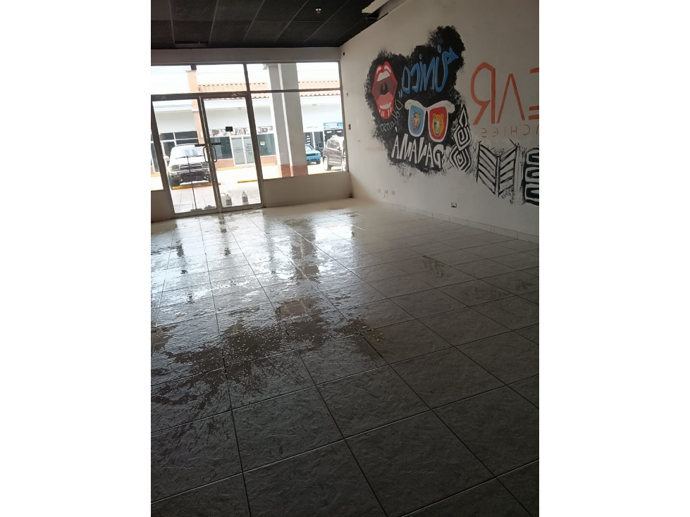 LOCAL COMERCIAL / BRISAS DEL GOLF / 159M / NO DIVISIONES / PLANTA BAJA — foto 3