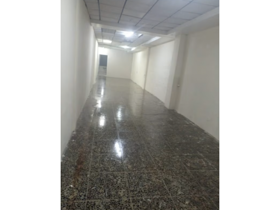 LOCAL COMERCIAL / AVENIDA 5 DE MAYO / 200 M2 / PLANTA BAJA / VACIO