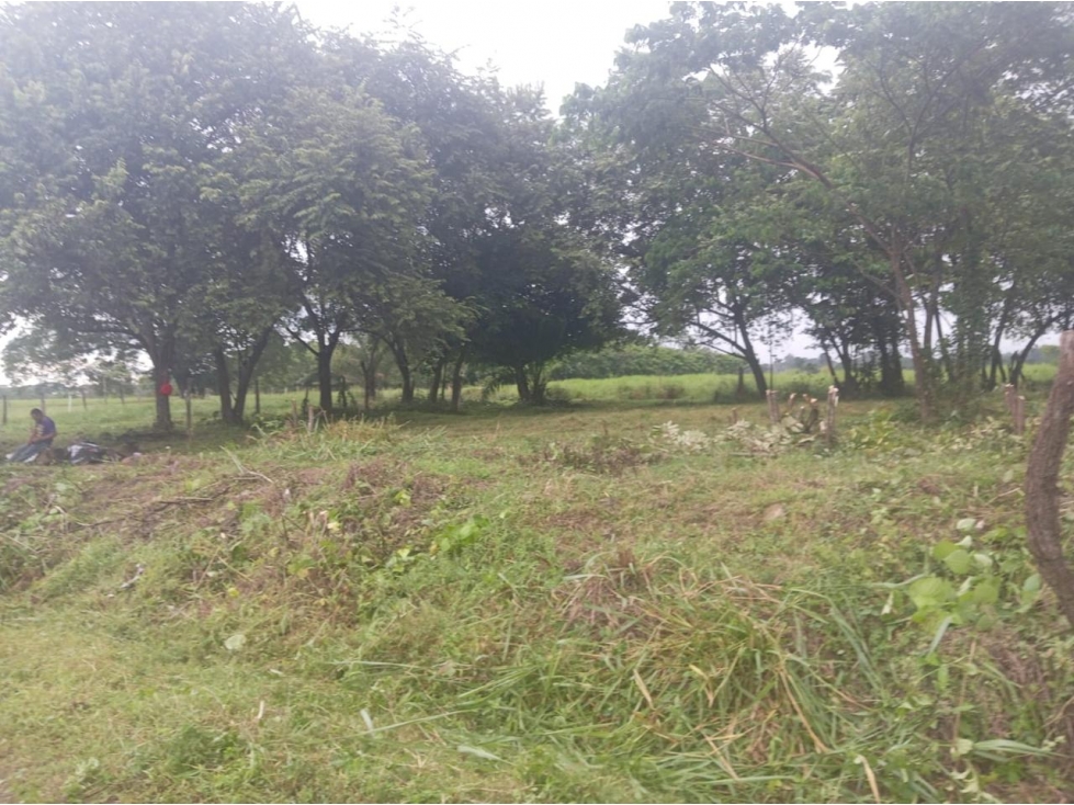 CHIRIQUI / DAVID / LAS LOMAS / 3.5 HECTAREAS / SUPERFICIE PLANA JC - 6