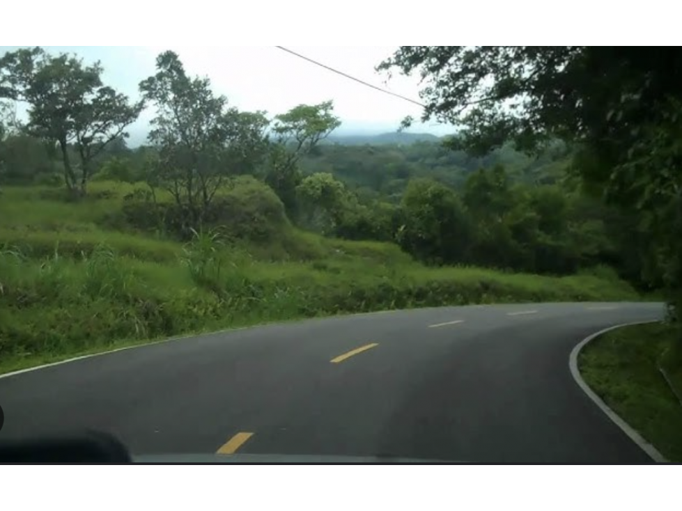 CHIRIQUI / BOQUETE / PALMIRA ABAJO / TERRENO / 1 HECTAREA - 5