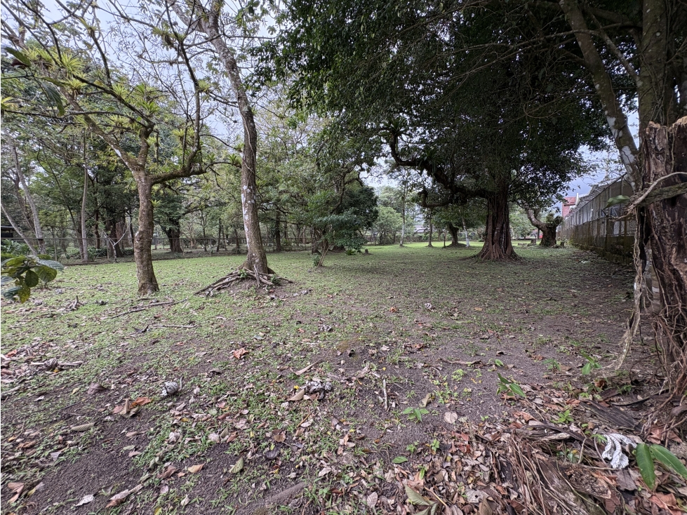 SE VENDE TERRENO PLANO DE 2086M EN EL VALLE DE ANTON - 6