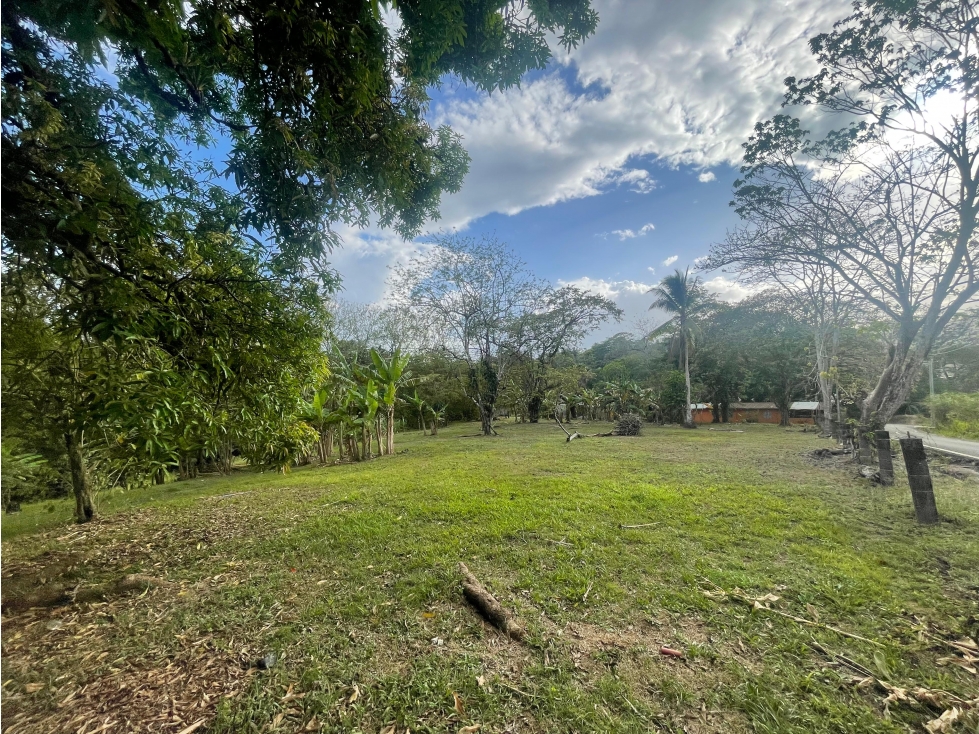 CHILIBRE / TERRENO PLANO / 5200M / SOBRE CALLE / IDEAL PARA VIVIENDA
