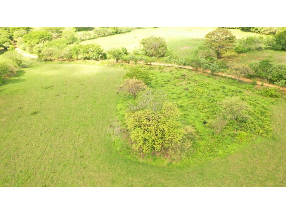 SE VENDE TERRENO TITULADO DE 13 HECTÁREA EN PARITA DE HERRERA - 3