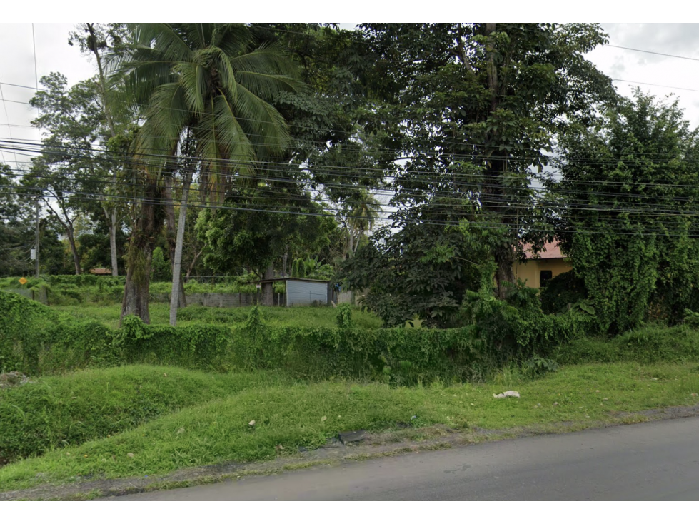 TERRENO / BOCAS DEL TORO / CHANGUINOLA / 2442M / AVENIDA PRINCIPAL - 4