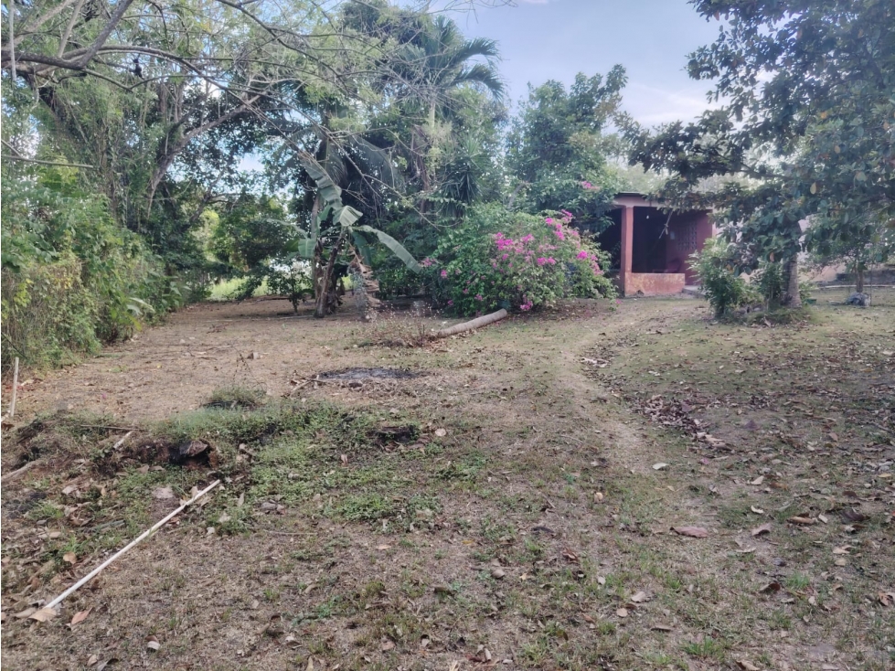 COCLE / RIO HATO /1021M / TOTALMENTE PLANO / IDEAL PARA INVERSION - 5