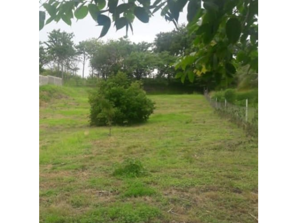 SAN CARLOS / LAS LAJAS / 2406M / SOBRE CARRETERA / TERRENO PLANO — foto 4