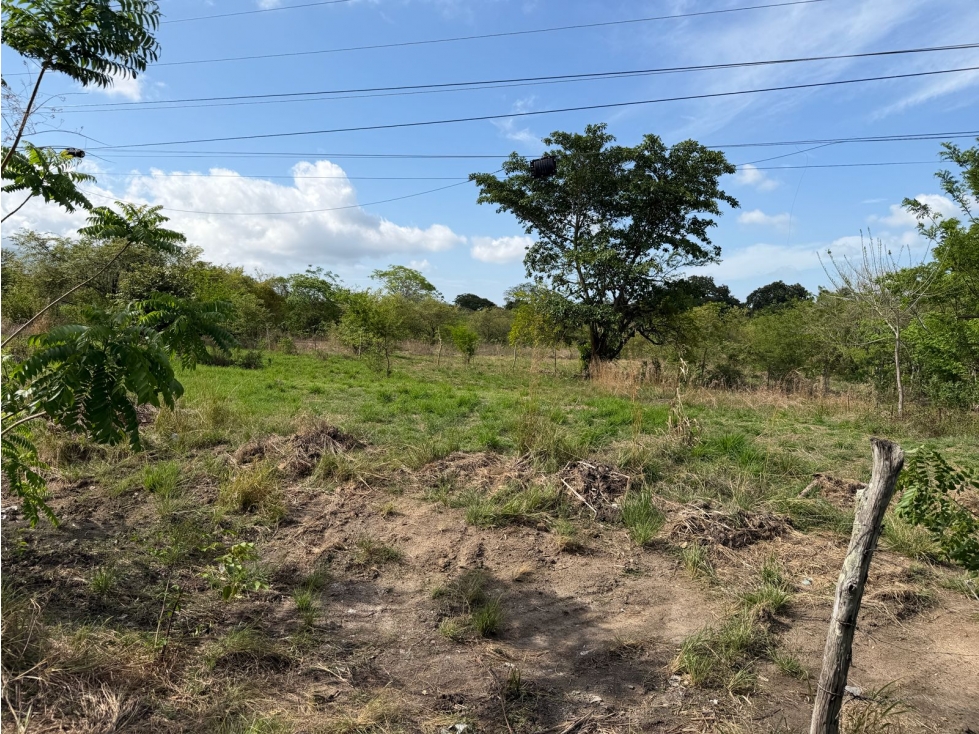 SE VENDE FINCA EN CHAME VIA ALTOS DE MARIA 6 HECTÁREAS — foto 3