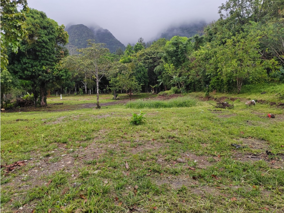 COCLE / EL HATO / 4449 M2 / TERRENO / ZONAS VERDES / CLIMAS FRESCOS - 1