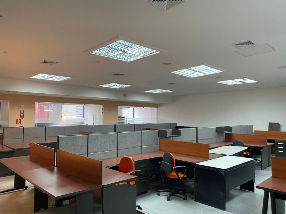CALLE 50 / PLAZA CALLE 50 / 430 M2 / DIVISIONES / 8 PARKING / AMOBLADO
