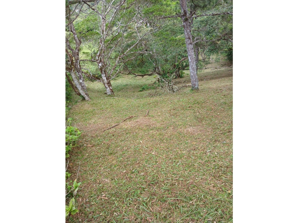 TERRENO / ALTOS DEL MARIA / PIAMONTE / 2432 M / PUNTO ALTO — foto 4