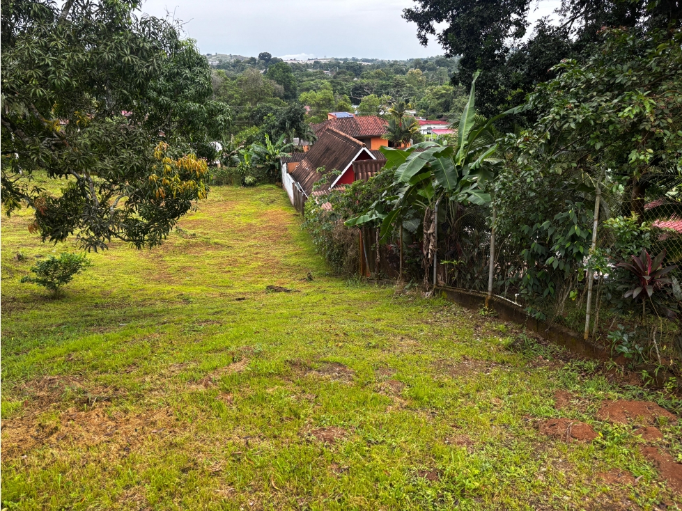 VILLA ZAITA / 2100M / SEMI PLANO / SOBRE VIA / IDEAL PARA INVERSION — foto 6