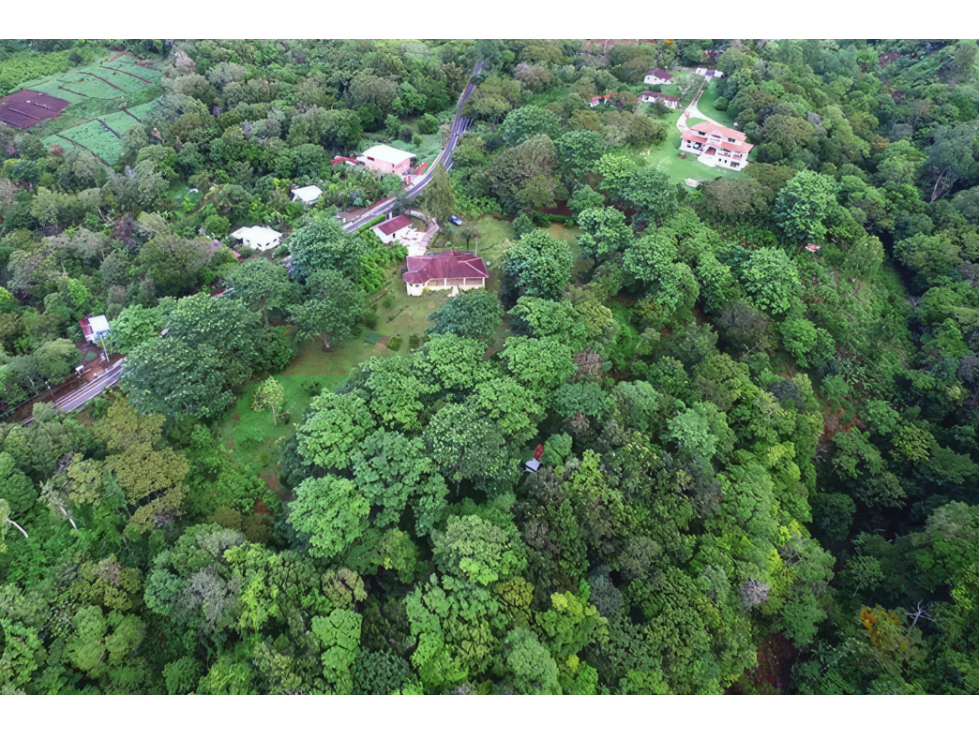 CHIRIQUI / BOQUETE / PALMIRA ABAJO / TERRENO / 1 HECTAREA - 2