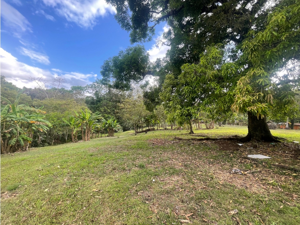 SE VENDE TERRENO PLANO EN CHILIBRE DE 5200M SOBRE CALLE — foto 4