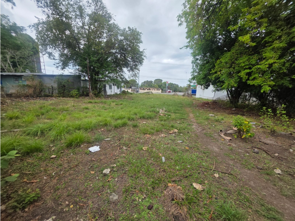 CHAME / COLONCITO / 719M / TERRENO PLANO / VIA INTERAMERICANA — foto 4