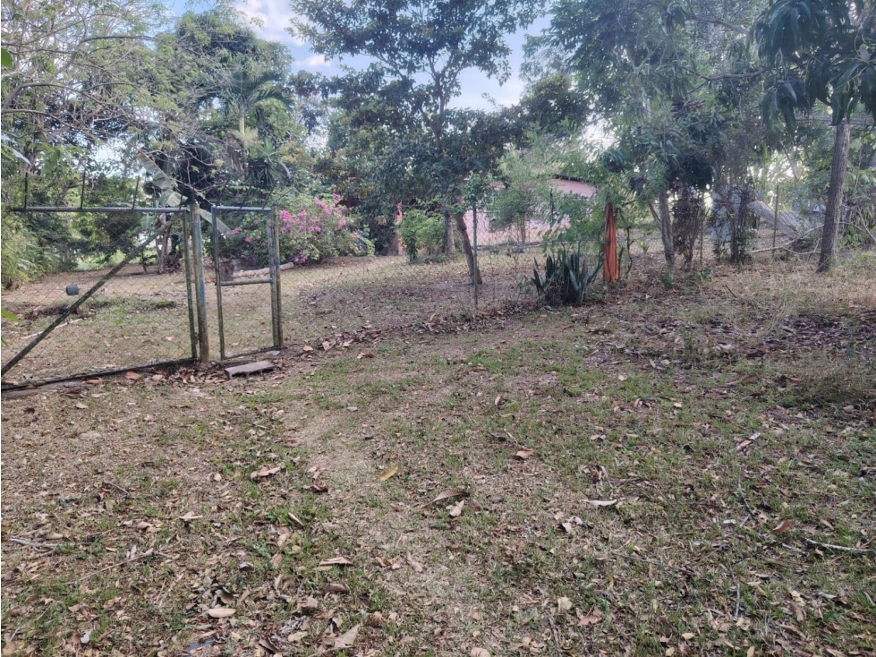 COCLE / RIO HATO /1021M / TOTALMENTE PLANO / IDEAL PARA INVERSION - 1