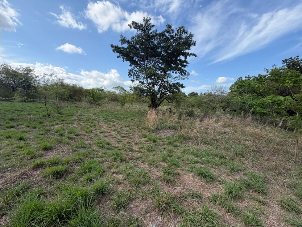 SE VENDE FINCA EN CHAME VIA ALTOS DE MARIA 6 HECTÁREAS — foto 4