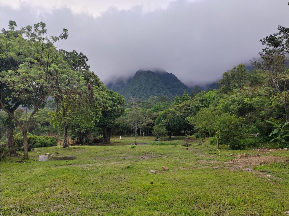 SE VENDE AMPLIO TERRENO 4449 M2 EN COCLE EL HATO CON ZONAS VERDES - 3