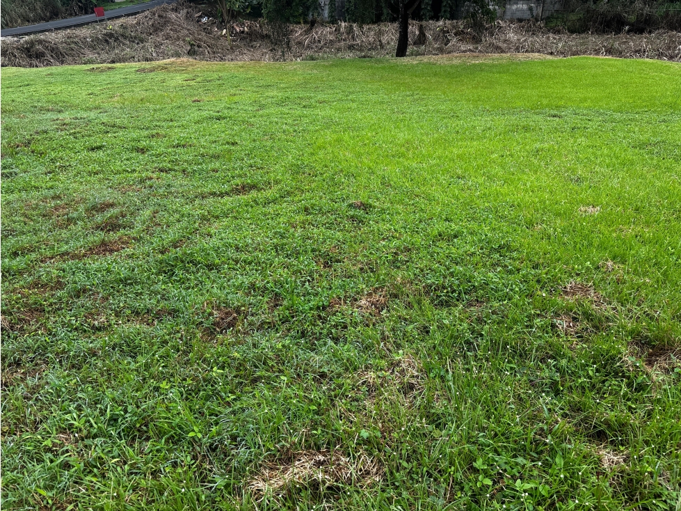 TERRENO / VILLA ZAITA / 600M / TOTALMENTE PLANO / DE ESQUINA JC — foto 2