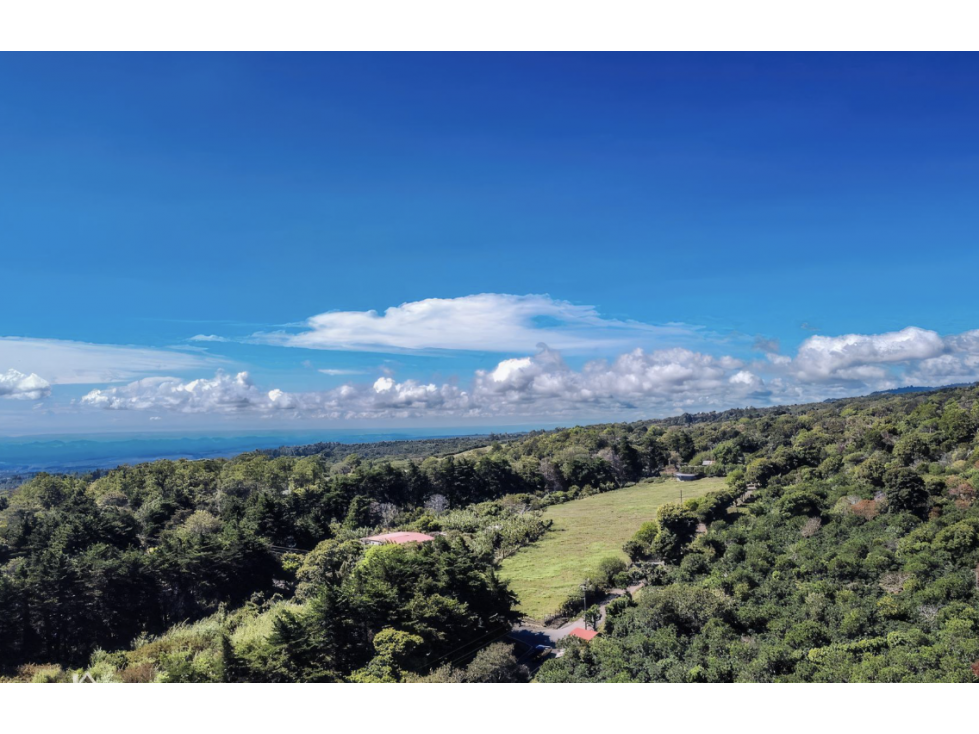 CHIRIQUI / BOQUETE / PALMIRA ABAJO / TERRENO / 1 HECTAREA - 3