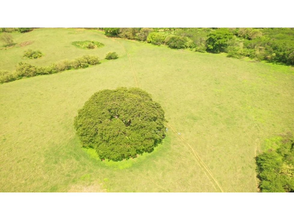 SE VENDE TERRENO TITULADO DE 13 HECTÁREA EN PARITA DE HERRERA - 5