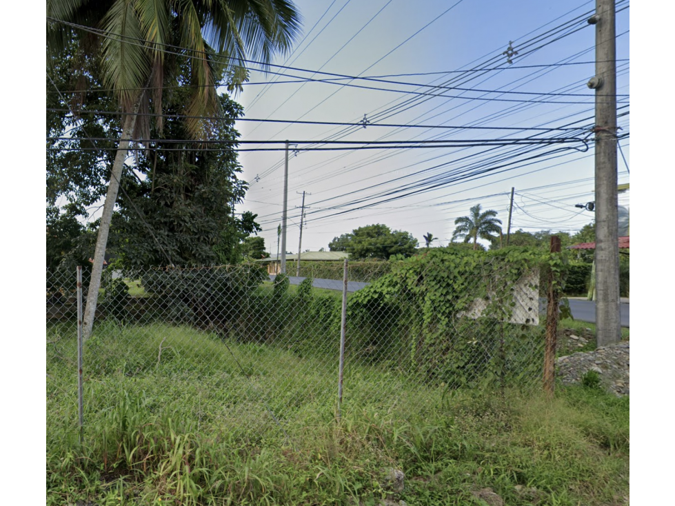 TERRENO / BOCAS DEL TORO / CHANGUINOLA / 2442M / AVENIDA PRINCIPAL - 3