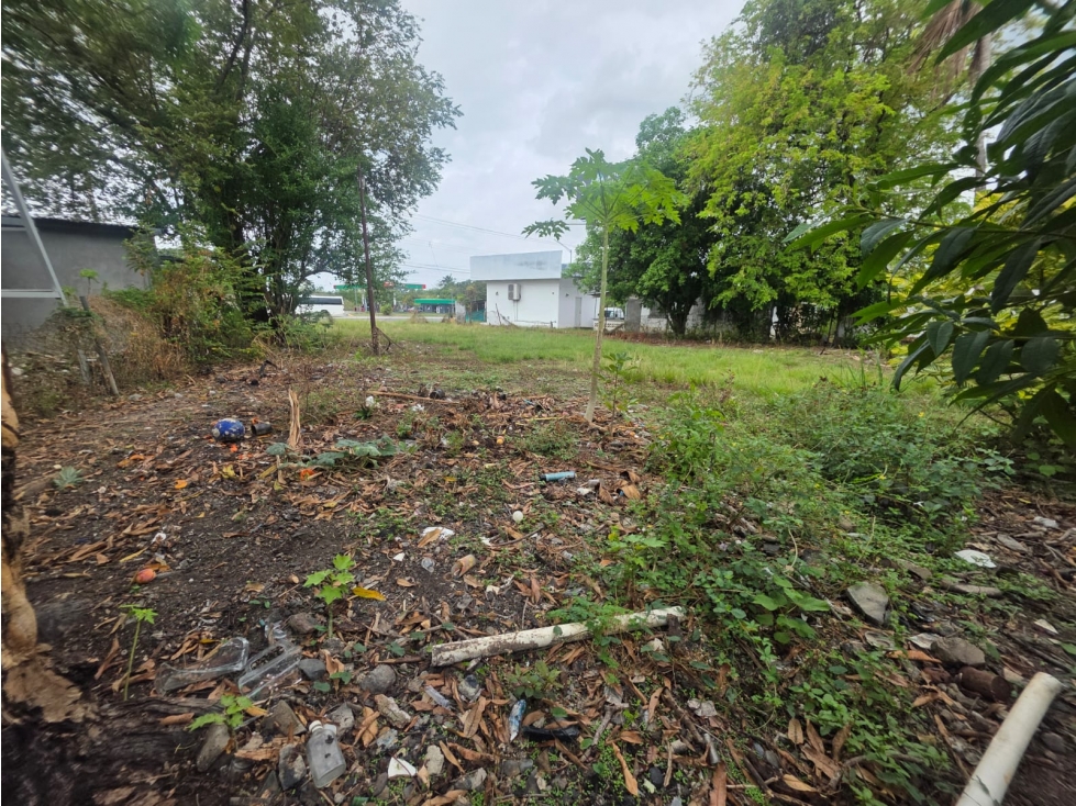 SE VENDE TERRENO PLANO EN CHAME COLONCITO SOBRE VIA INTERAMERICANA — foto 5