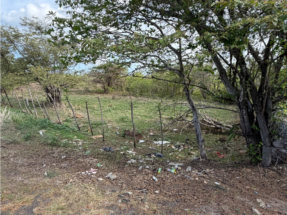 CHAME / VIA ALTOS DEL MARIA / 7 HECTAREAS / FRENTE A CALLE — foto 4
