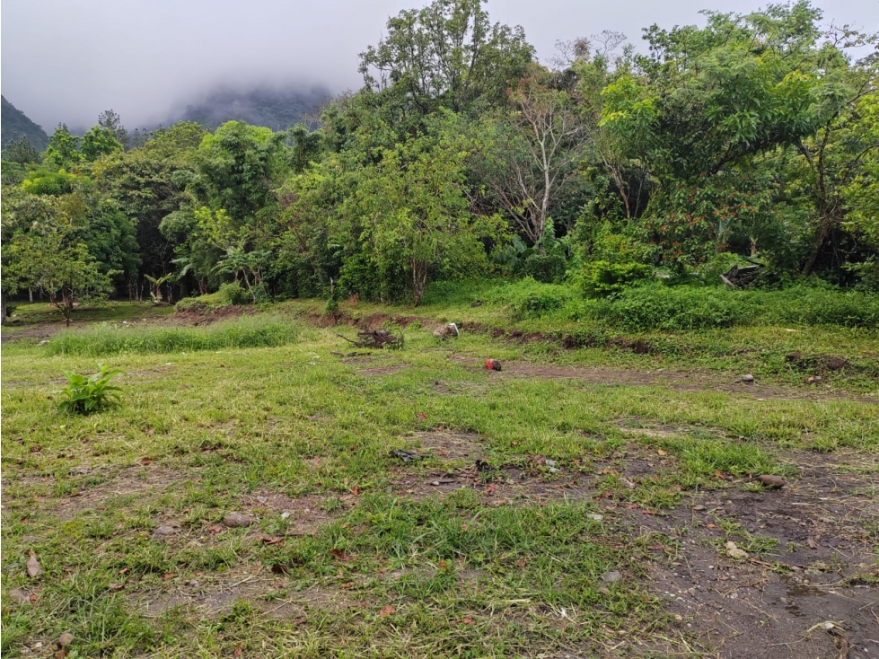SE VENDE AMPLIO TERRENO 4449 M2 EN COCLE EL HATO CON ZONAS VERDES - 4