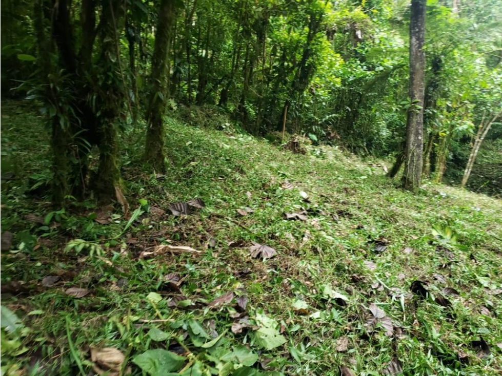 ALTOS DEL MARIA / URB. NAVARRA / 2274M / CLIMA FRIO / FRENTE A CALLE — foto 5