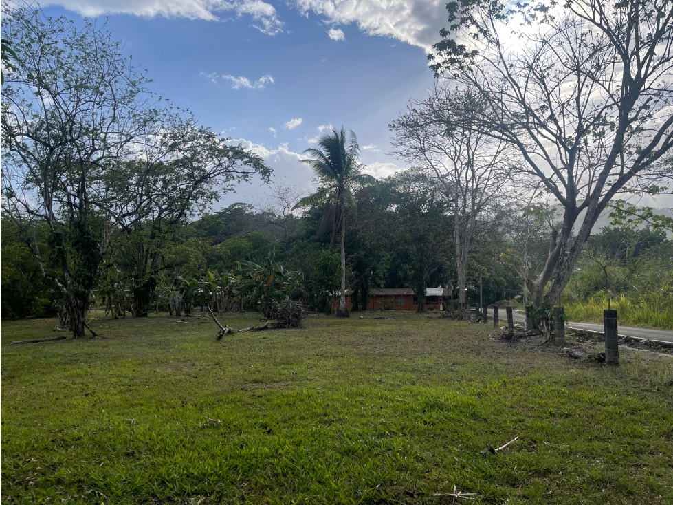 SE VENDE TERRENO PLANO EN CHILIBRE DE 5200M SOBRE CALLE — foto 5