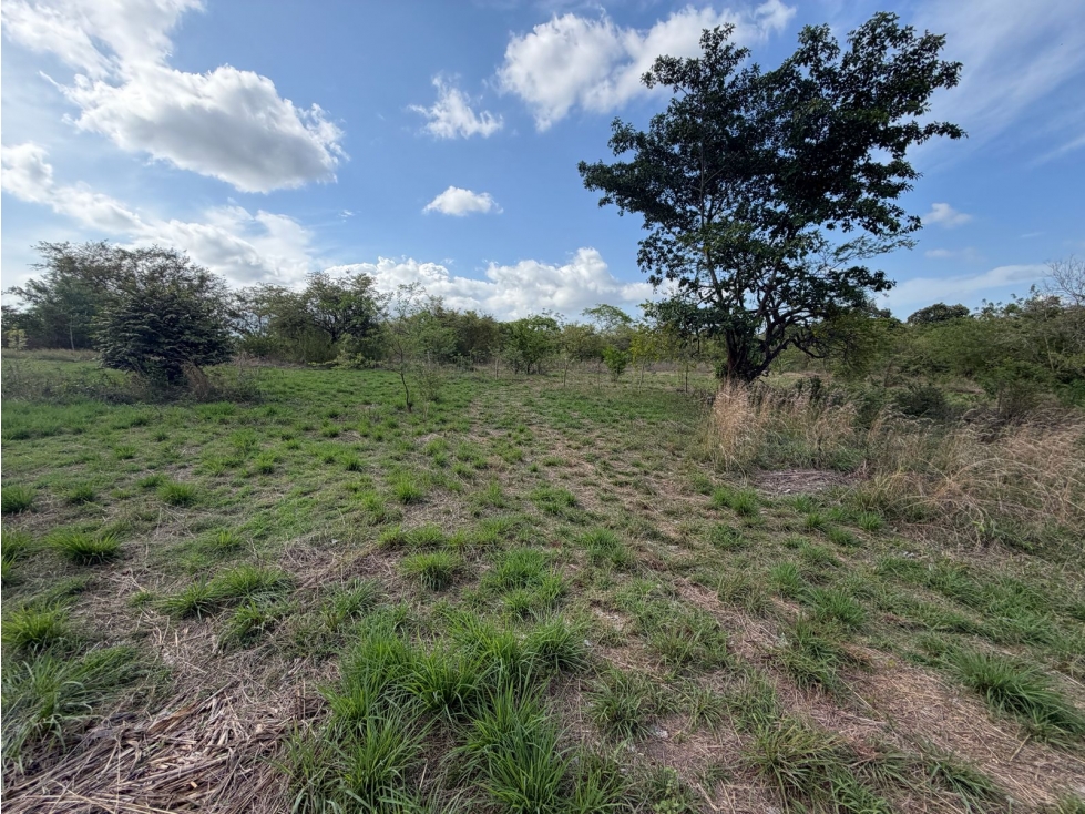 SE VENDE FINCA EN CHAME VIA ALTOS DE MARIA 6 HECTÁREAS — foto 6