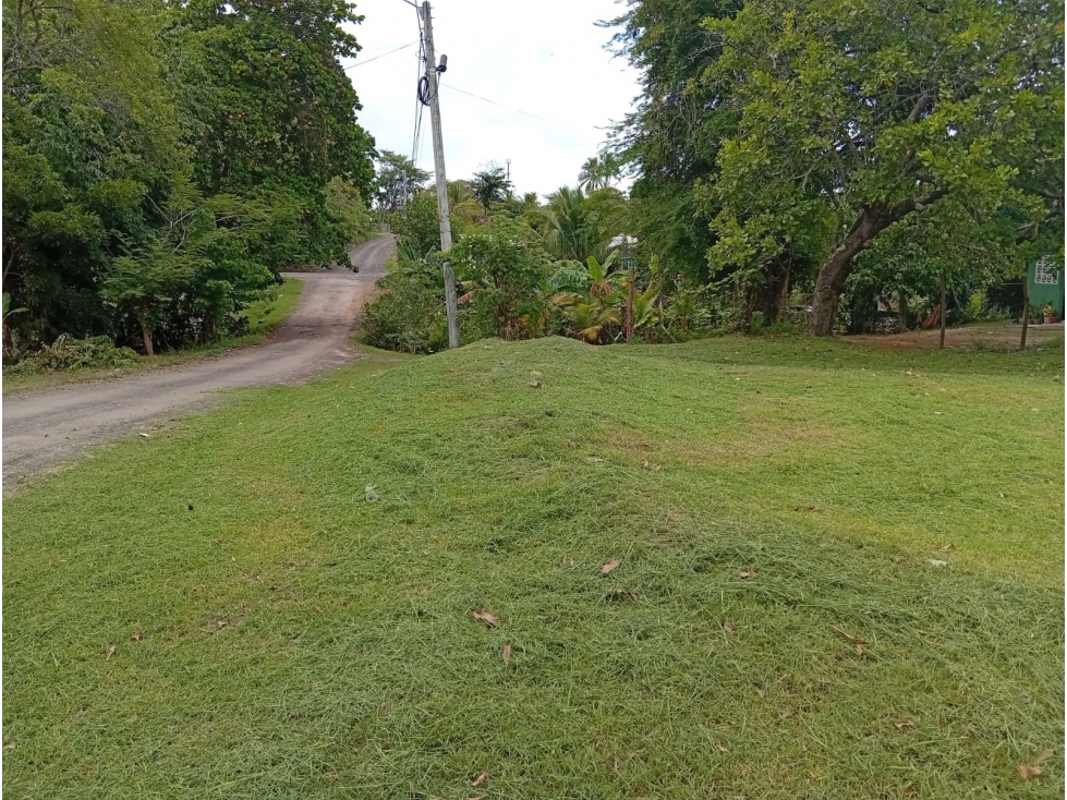 SE VENDE TERRENO EN GORGONA 600 M2 CERCA DE LA PLAYA — foto 3