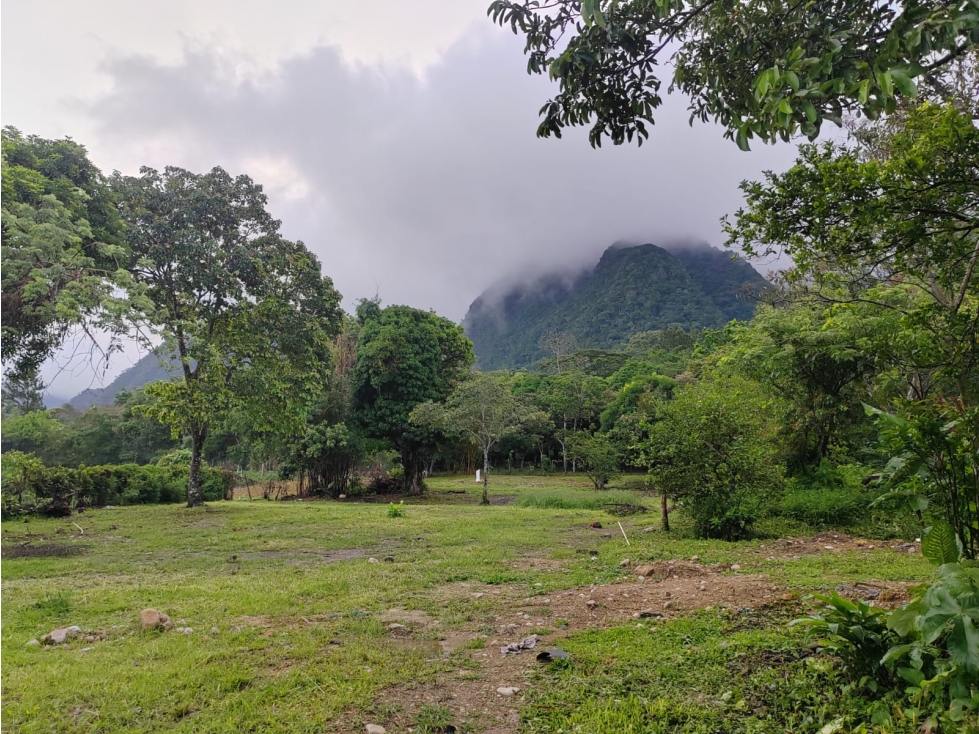 SE VENDE AMPLIO TERRENO 4449 M2 EN COCLE EL HATO CON ZONAS VERDES - 5