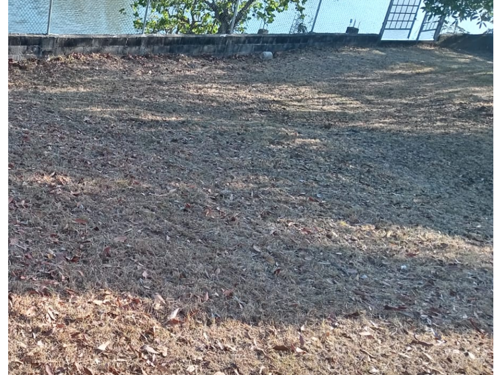 SAN CARLOS / LAGOMAR / 1600M / TERRENO CON GAZEBO / FRENTE AL LAGO — foto 6
