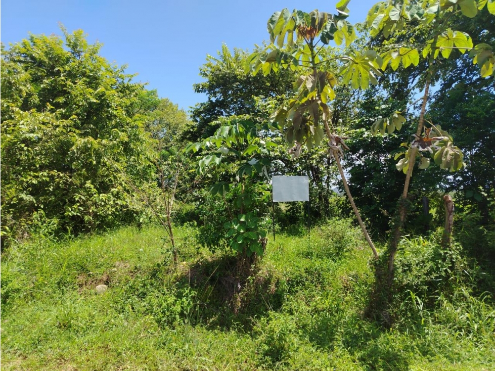 CHIRIQUI / DAVID / LAS LOMAS / 3.5 HECTAREAS / SUPERFICIE PLANA JC - 4