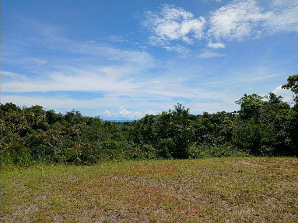 SAN CARLOS / EL COPECITO / 4300 M2 / TERRENO / VISTAS PANORAMICAS — foto 4