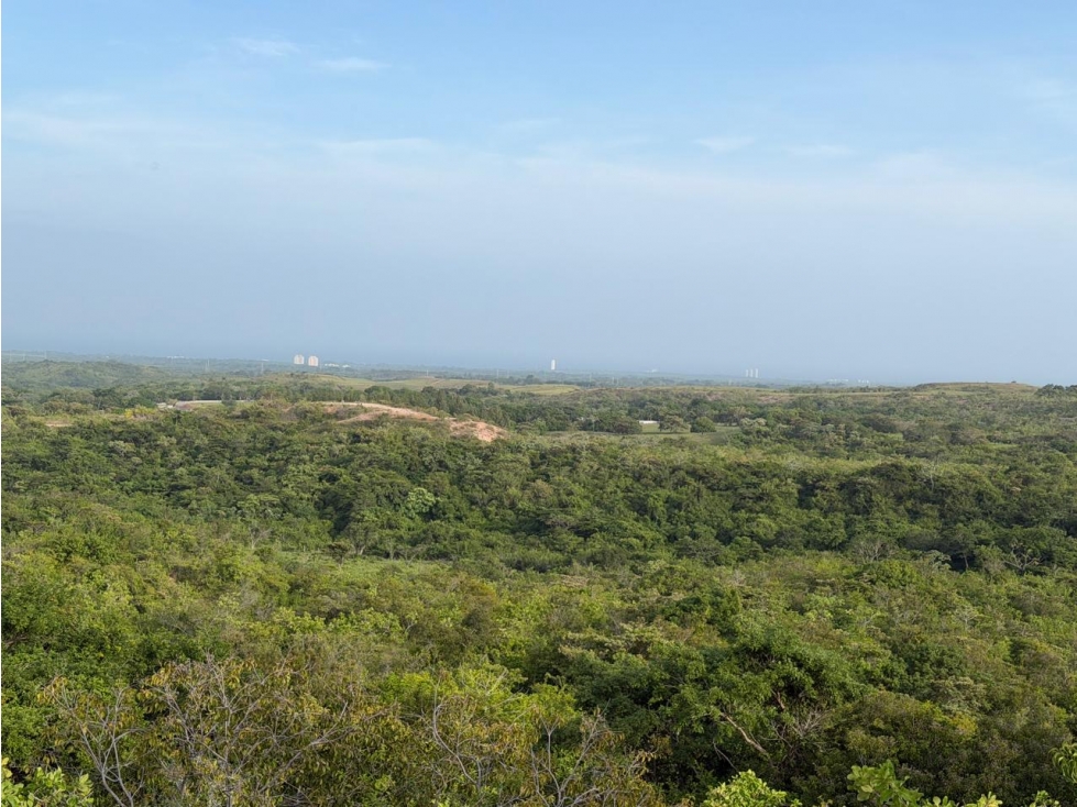 TERRENO / SAN CARLOS / 5,000M / ECOLÓGICO / VISTA AL MAR
