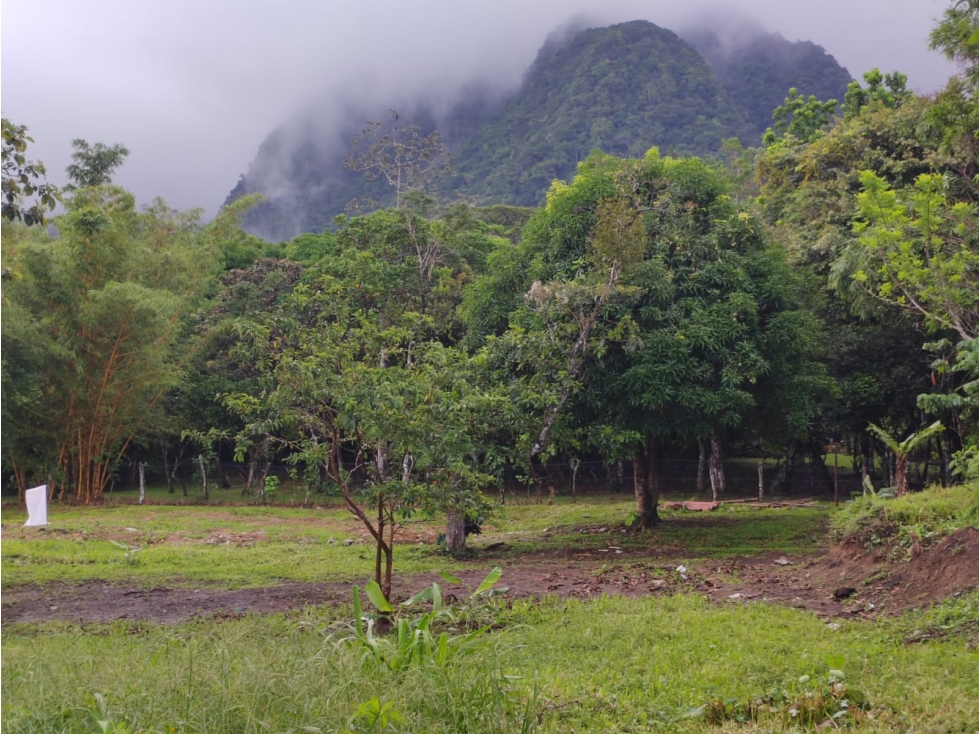 SE VENDE AMPLIO TERRENO 4449 M2 EN COCLE EL HATO CON ZONAS VERDES - 1