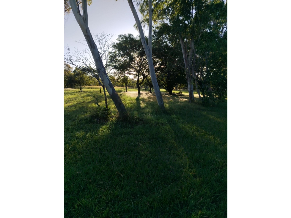 CORONADO / BOULEVARD / 6.8 HECTAREA / 50.00M / TERRENO PARA DESARROLLO — foto 6