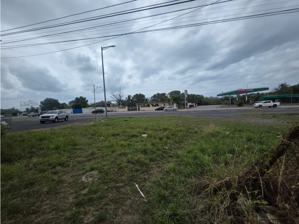 CHAME / COLONCITO / 719M / TERRENO PLANO / VIA INTERAMERICANA