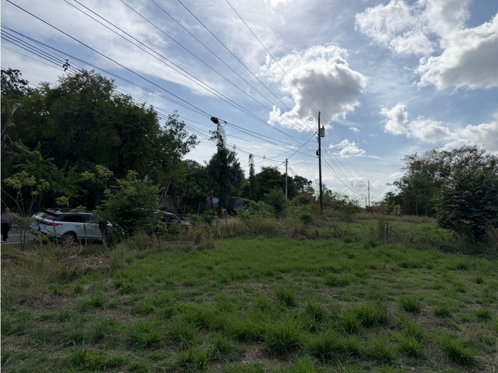 SE VENDE FINCA VIA ALTOS DEL MARIA DE 7 HECTAREAS FRENTE A CALLE — foto 4
